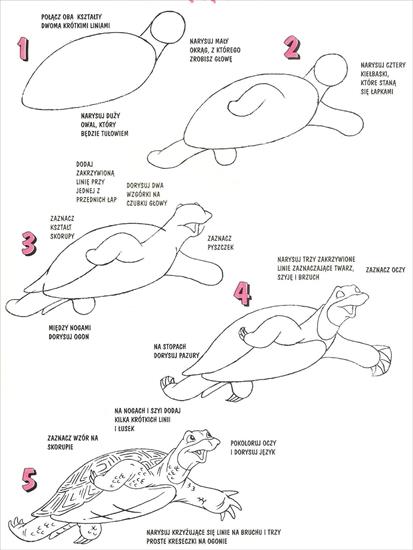 nauka rysowania dla dzieci - żółw.jpg