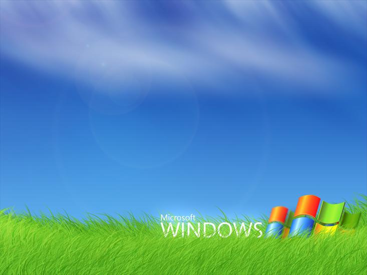 tapety win - windows-7-grass-wallpapers_11835_1600x1200.jpg