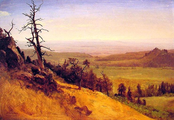 Albert Bierstadt 1830-1902 - Nebraska Wasatch Mountains 1859.jpg