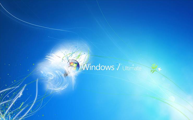 TAPETY WINDOWS - 37.jpg