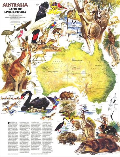 Mapy National Geographic. 539 map. Wysoka jakość - Australia- Land of Living Fossils 1979.jpg