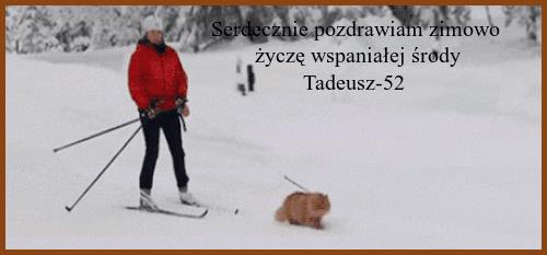 Tadeusz-52 - SRODA21.gif