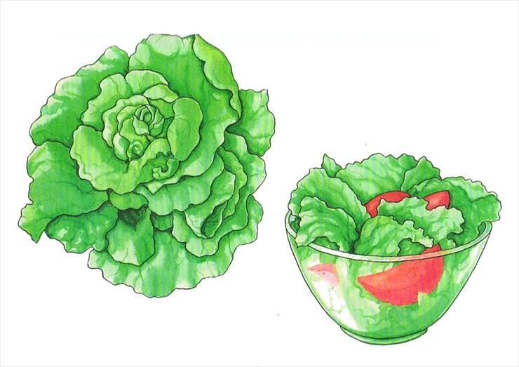 Warzywa i owoce - Owoce i warzywa 11.jpg