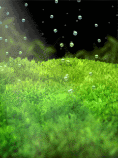 animacje - bubbles51ym6macbr7.gif