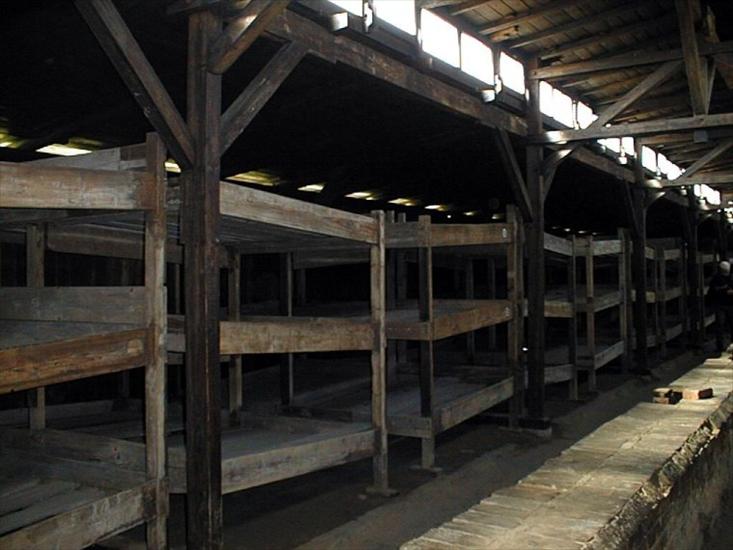 Auschwitz-Birkenau - Auschwitz II-Birkenau. Auschwitz II-Birkenau. The ...of a wooden barrack,Photograph by Ryszard Domasik.jpg