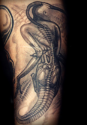 Tatuaze-Tattoo - TAT145.JPG