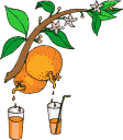 smacznego - napoje - sok z pomaranczy.GIF