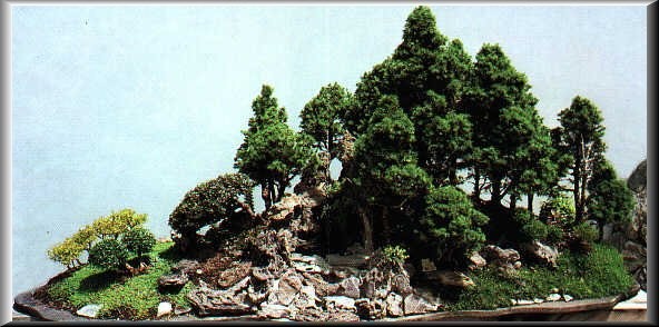 PIĘKNE OGRODY - bonsai 86.jpg