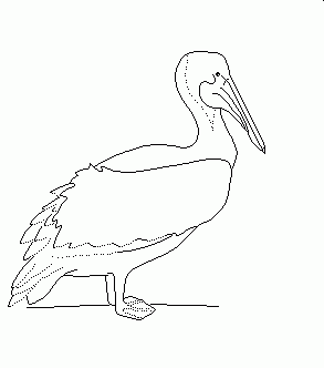 2. Kolorowanki Dla Dzieci - pelikan.gif